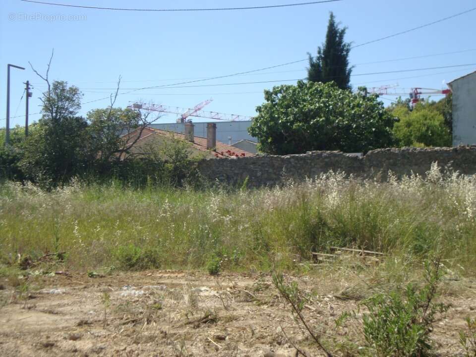 Terrain 255 m² à Hyeres  - photo 2