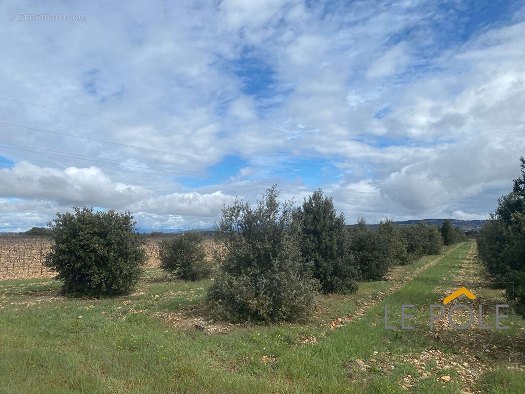 Terrain à SAINTE-CECILE-LES-VIGNES