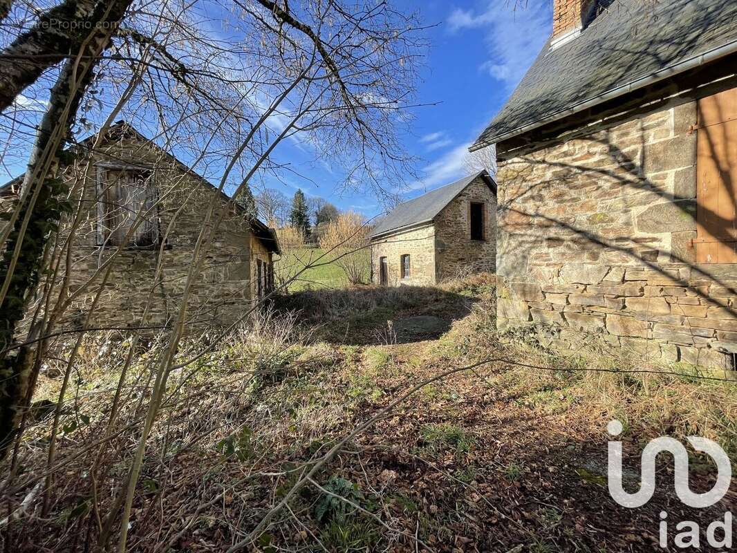 Photo 8 - Maison à SURDOUX