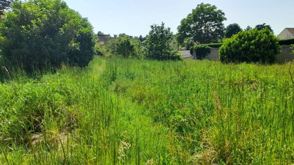 Photo Terrain à Limours au prix de 172 000€