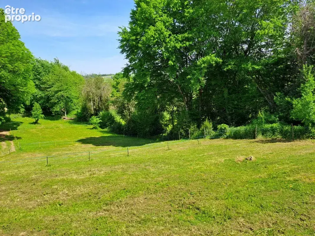 À vendre – maison de campagne avec plus de 5 000 m² de terrain, enclos pour animaux et bâtiment annexe - photo 23