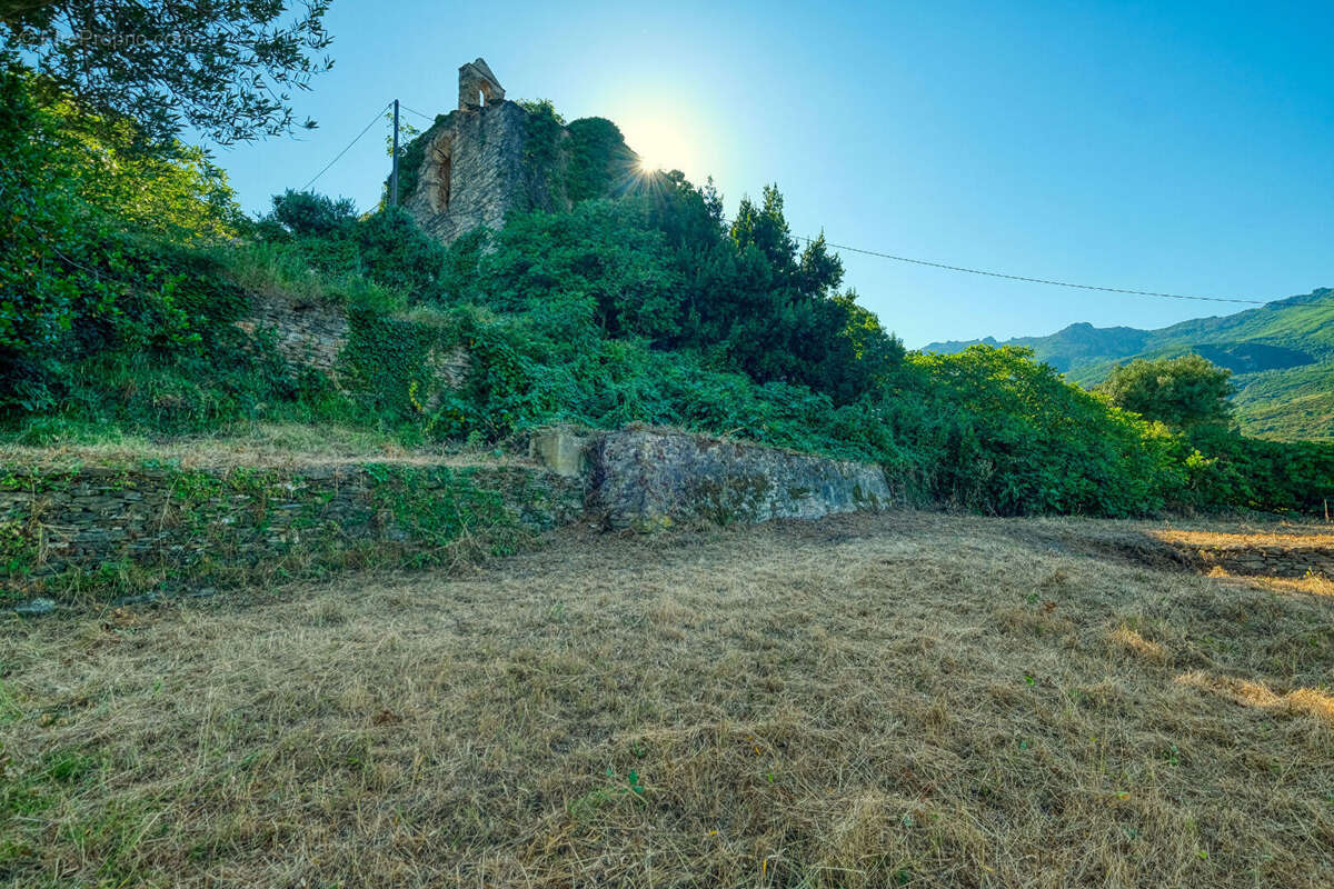 Terrain à BRANDO