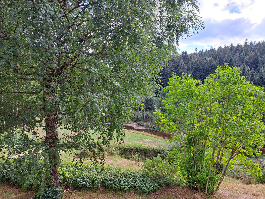 Maison à LE CHAMBON-SUR-LIGNON