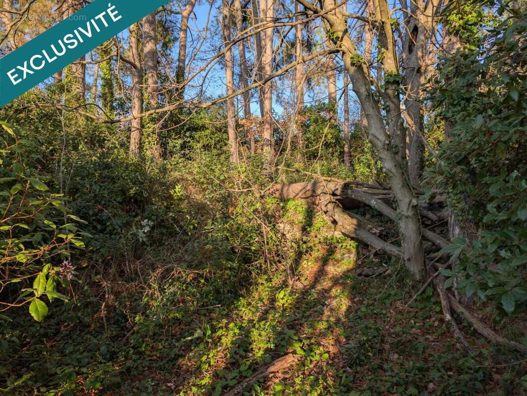 Photo 8 - Terrain à PRIVAS