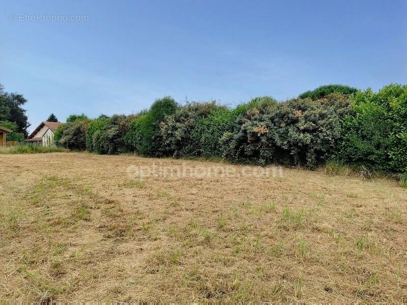 Terrain à PEYREHORADE