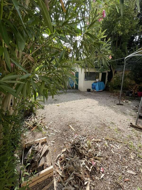 Hyper centre : maison de ville a bergerac. - photo 3