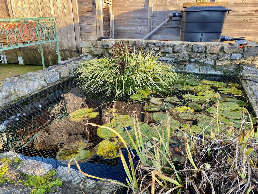 Maison à GUSSIGNIES