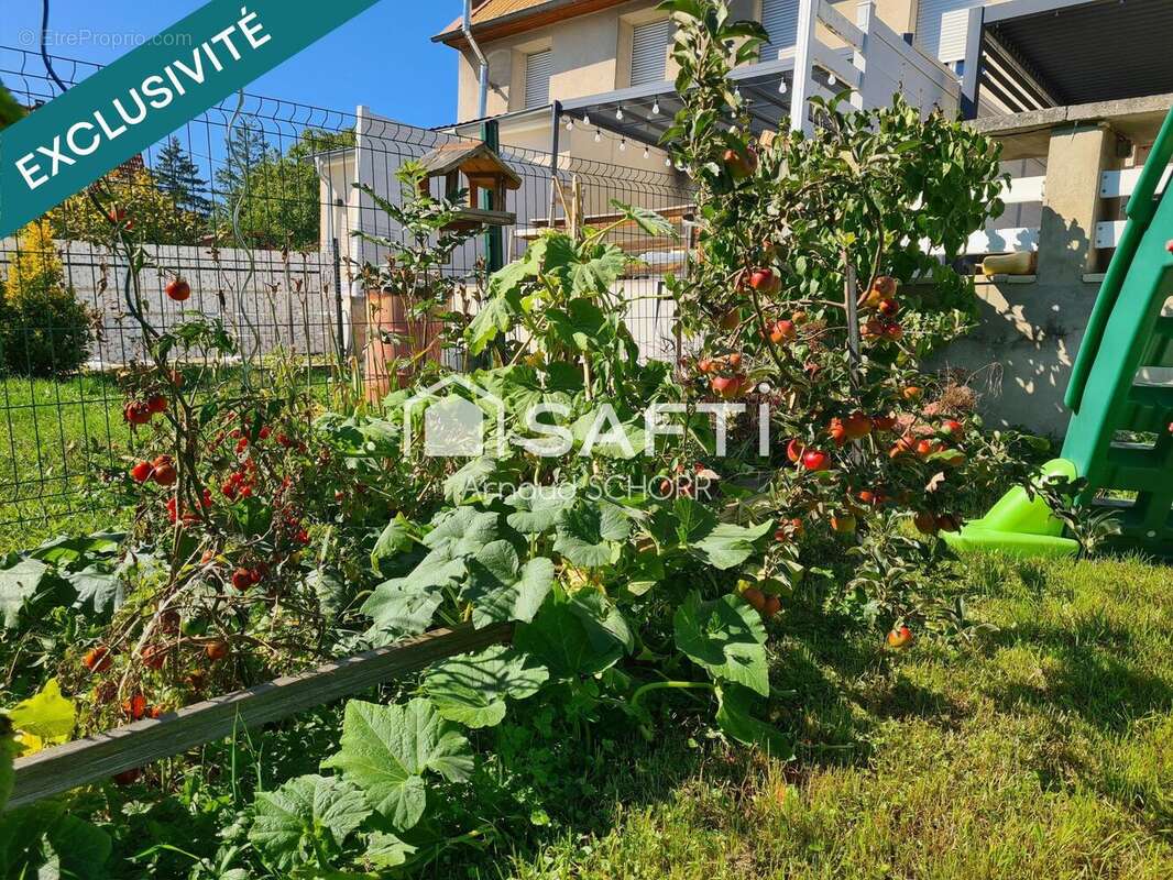 Photo 9 - Maison à SAVERNE