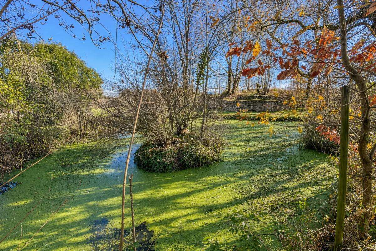 Maison de 390 m² avec terrain de 3 hectares - photo 25