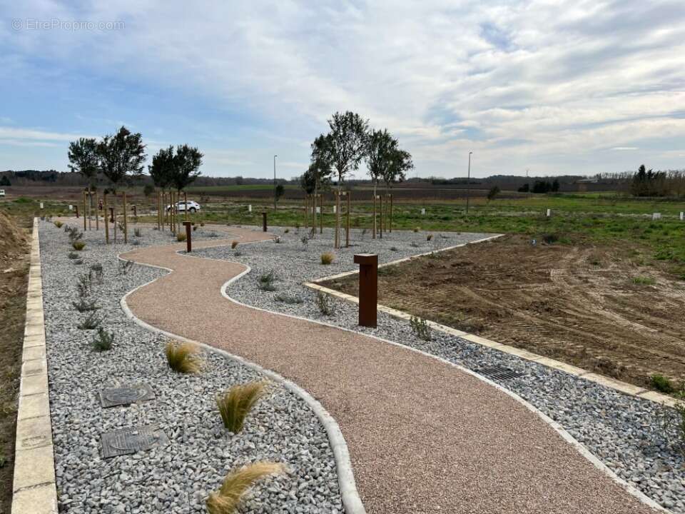 Terrain à VILLESEQUELANDE