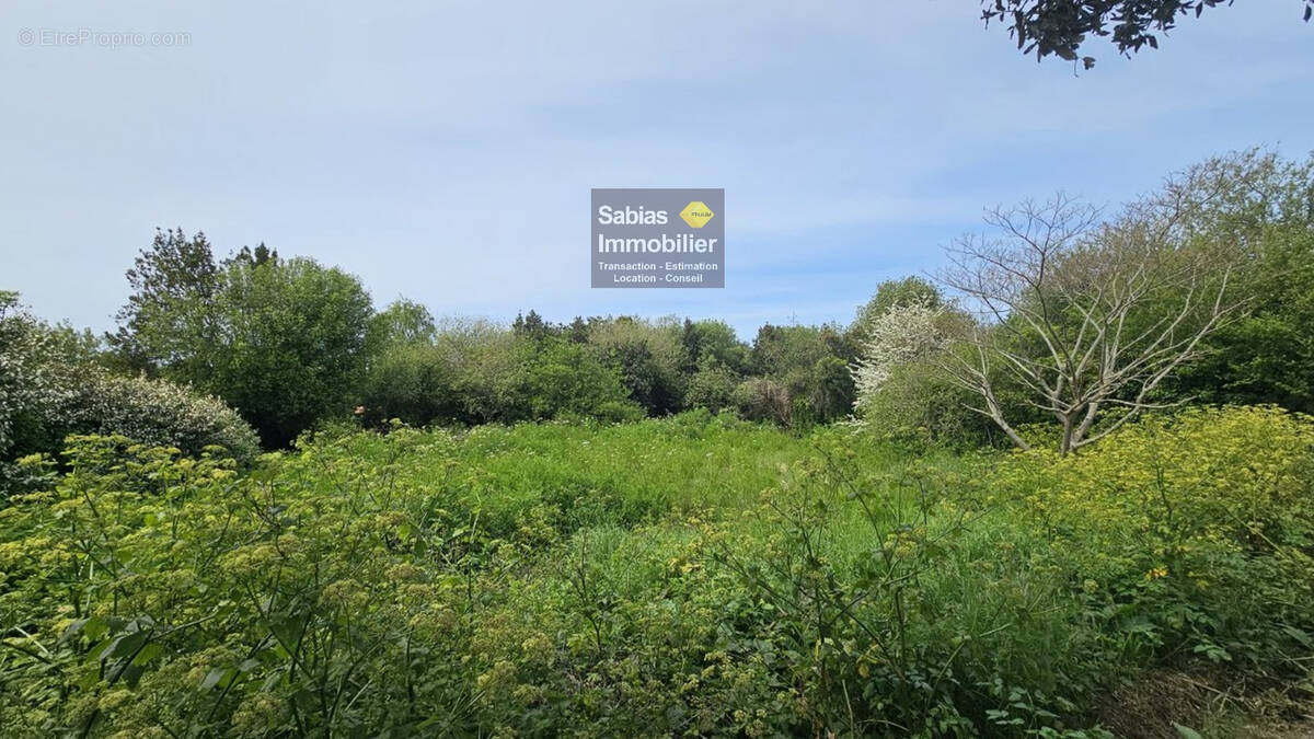 Terrain à L'ILE-D'YEU