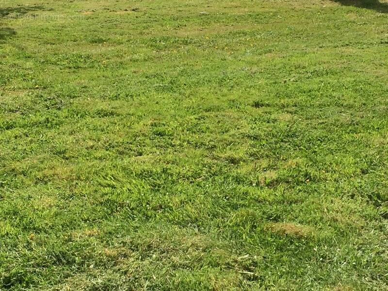 Terrain à BOIS-GUILLAUME