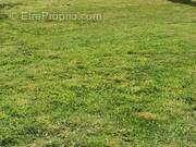 Terrain à BOIS-GUILLAUME