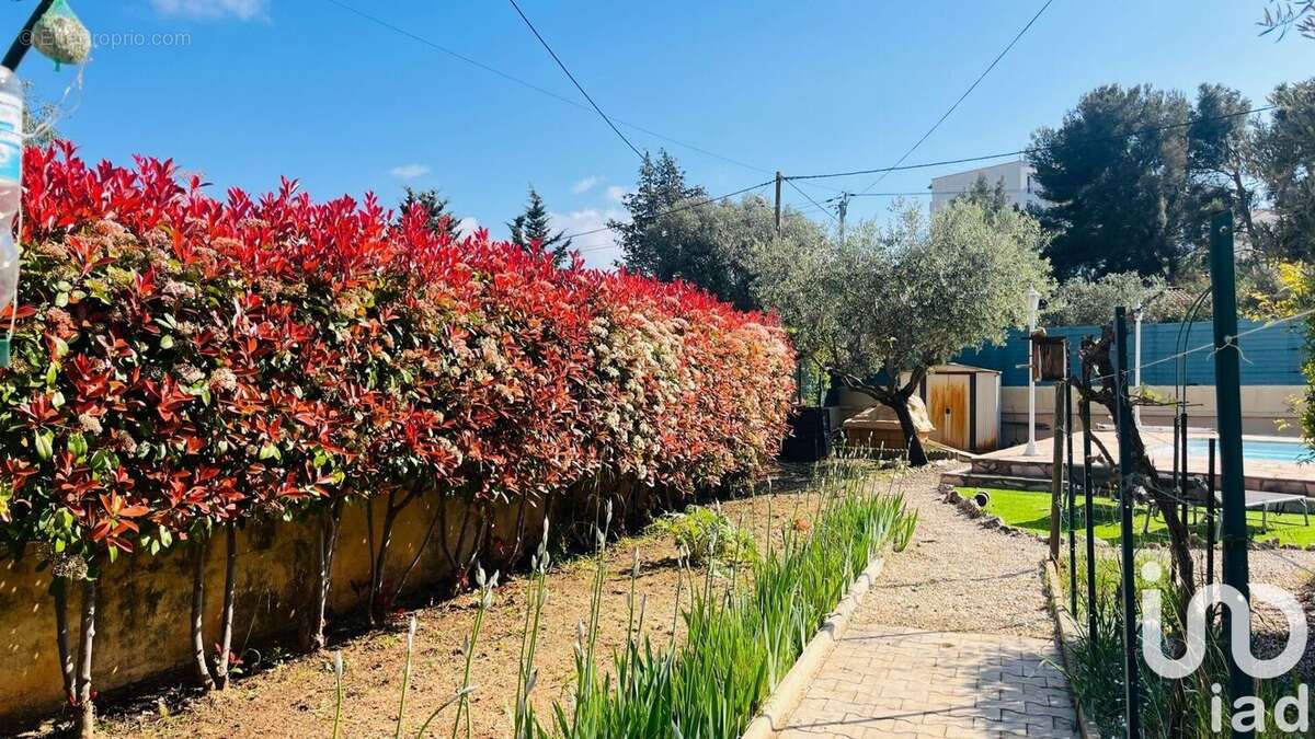 Photo 4 - Maison à TOULON
