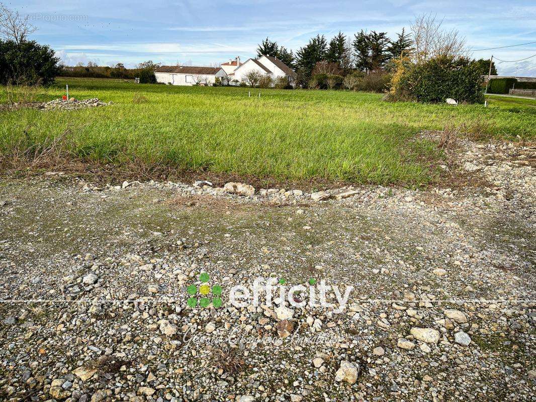 Terrain à SAINT-PHILBERT-DE-GRAND-LIEU