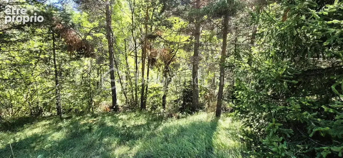 Villars-colmars – authentique maison de caractère avec 5 590 m² de terrain  - photo 7