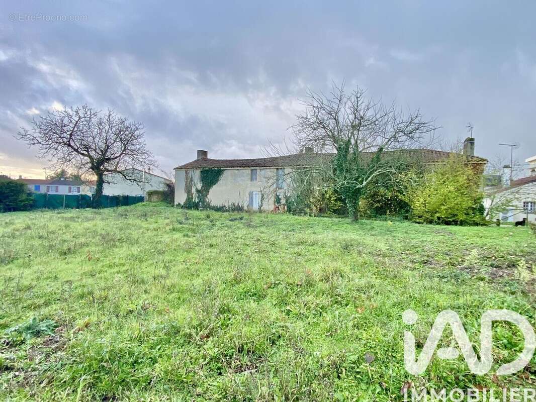 Photo 2 - Terrain à FONTENAY-LE-COMTE