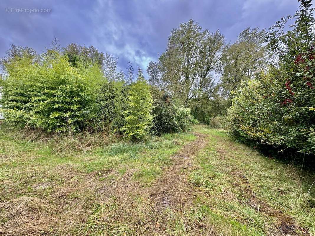 Photo 4 - Maison à CREON