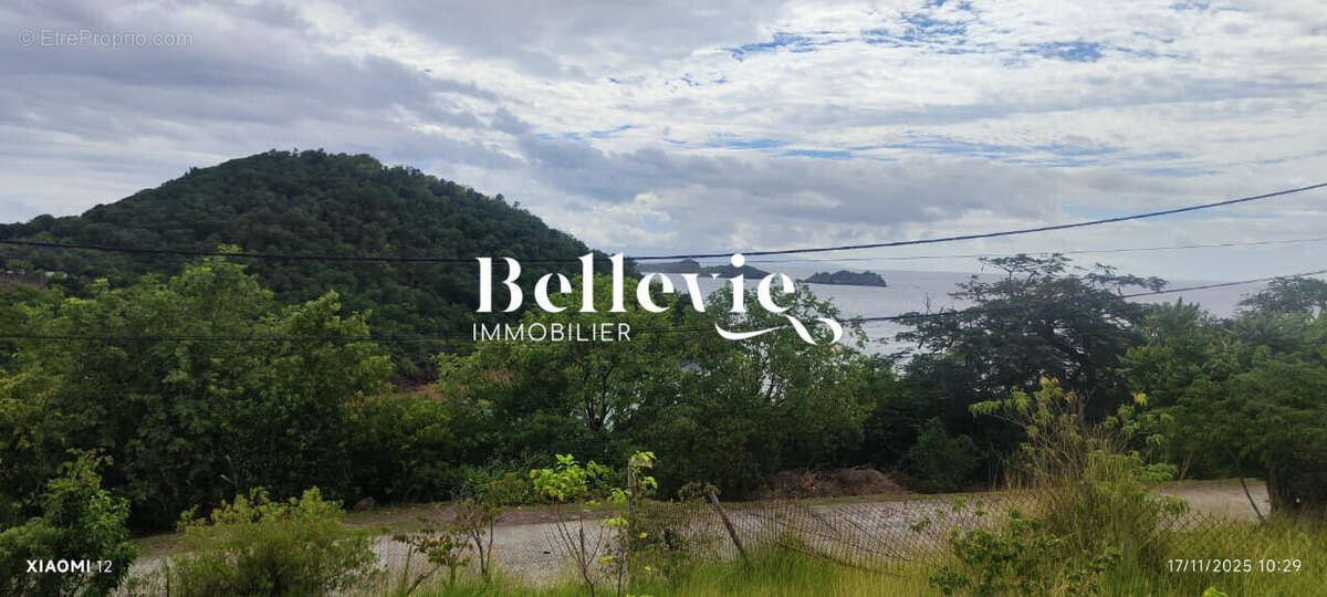 Terrain à TERRE-DE-BAS