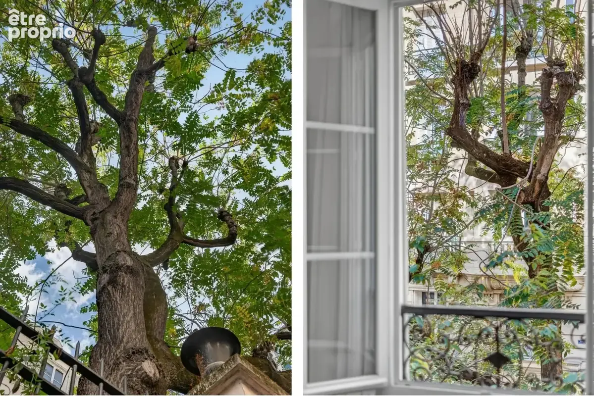 Coeur des batignolles. duplex charme absolu - photo 4