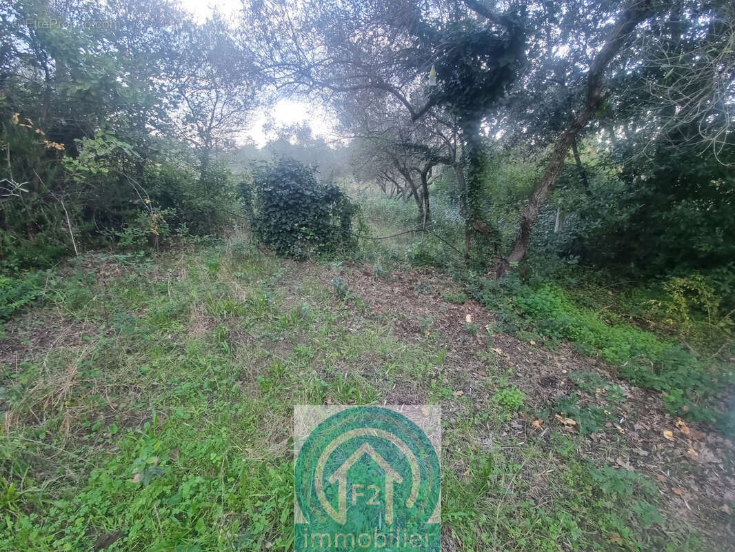 Grande propriété de 190m2 avec 19580m2 de terrain, à Santa Maria Poggio - photo 19