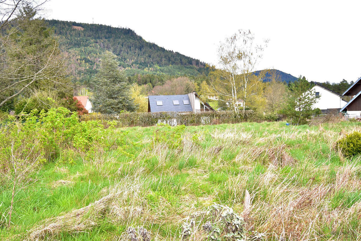Terrain à NAYEMONT-LES-FOSSES
