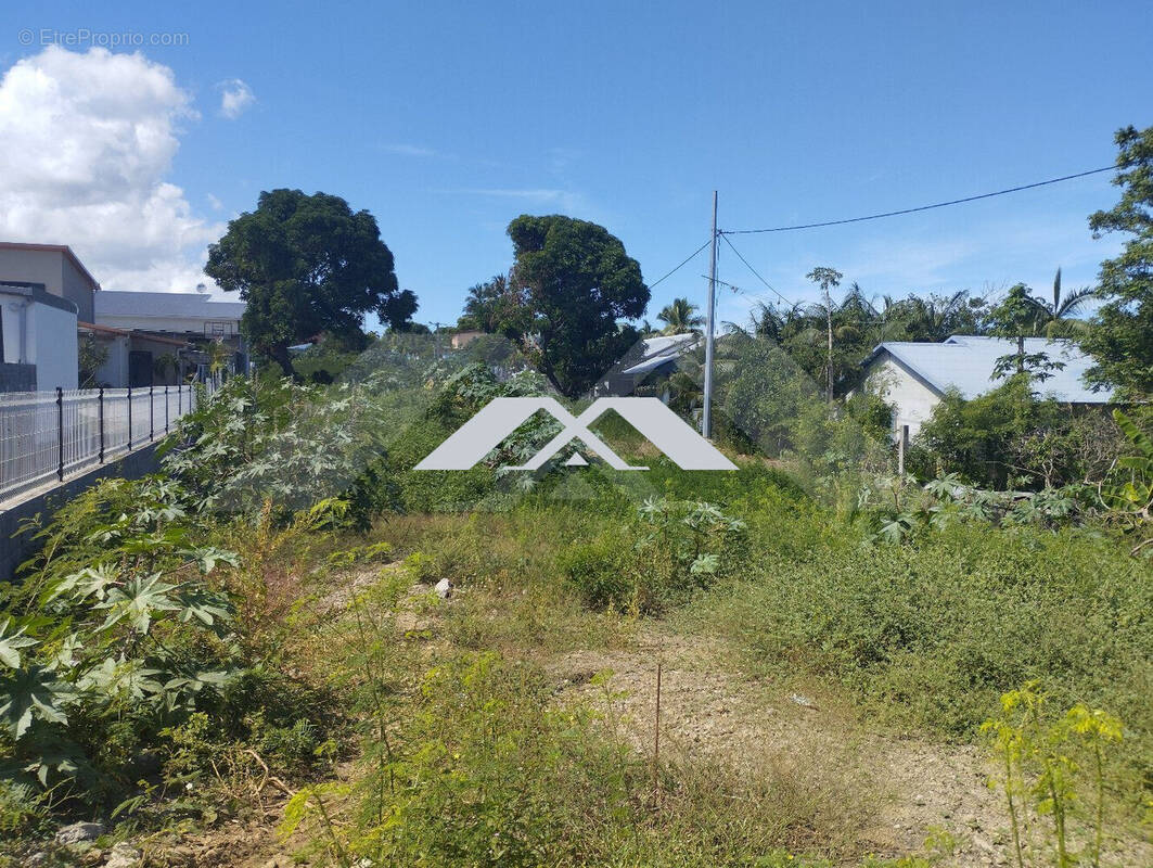 Terrain à SAINT-LOUIS