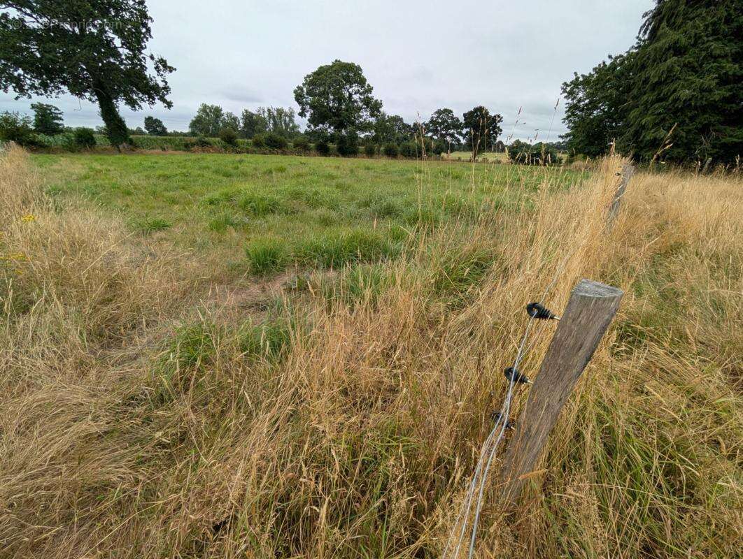 Ensemble de caractère avec 8 400 m² de terrain et vastes dépendances – Le Teilleul (50640) - photo 13