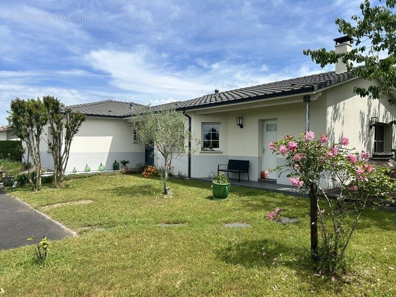 Maison à AMBARES-ET-LAGRAVE