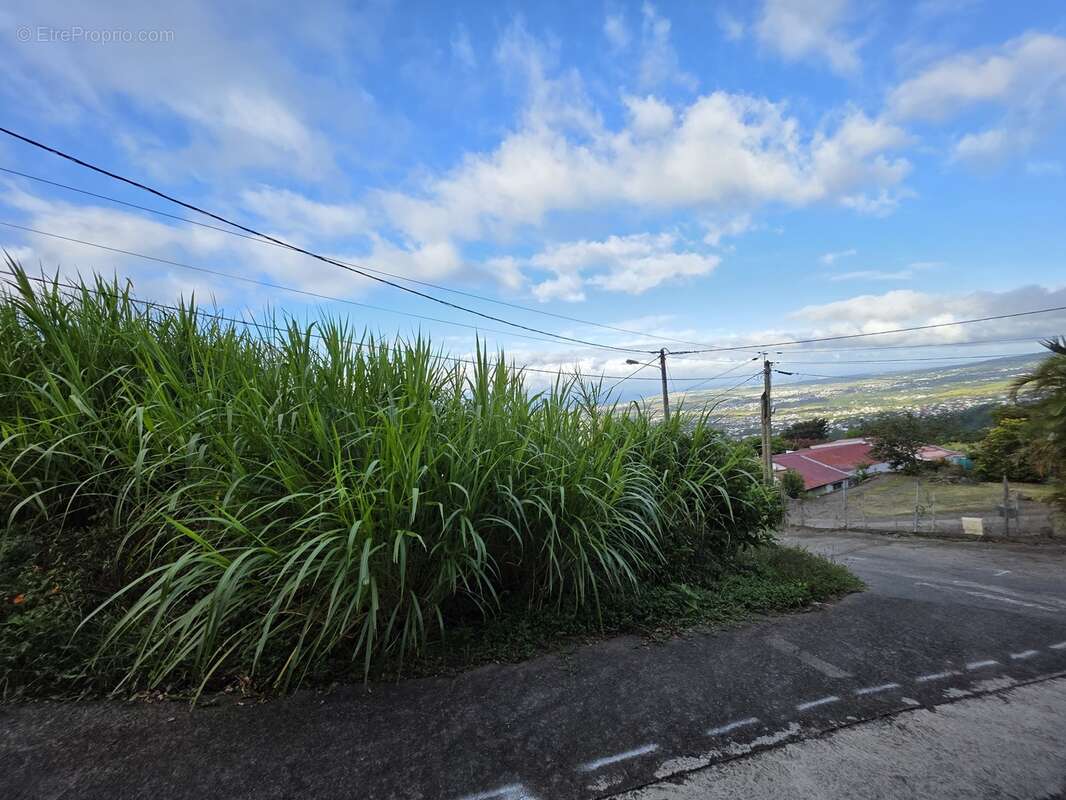 Terrain à SAINT-DENIS