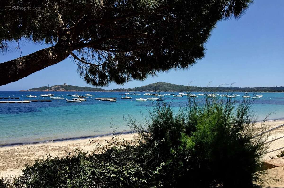 Maison à PORTO-VECCHIO