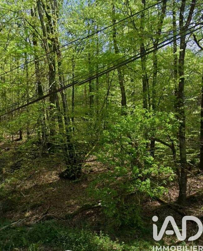Photo 1 - Terrain à COMPREIGNAC