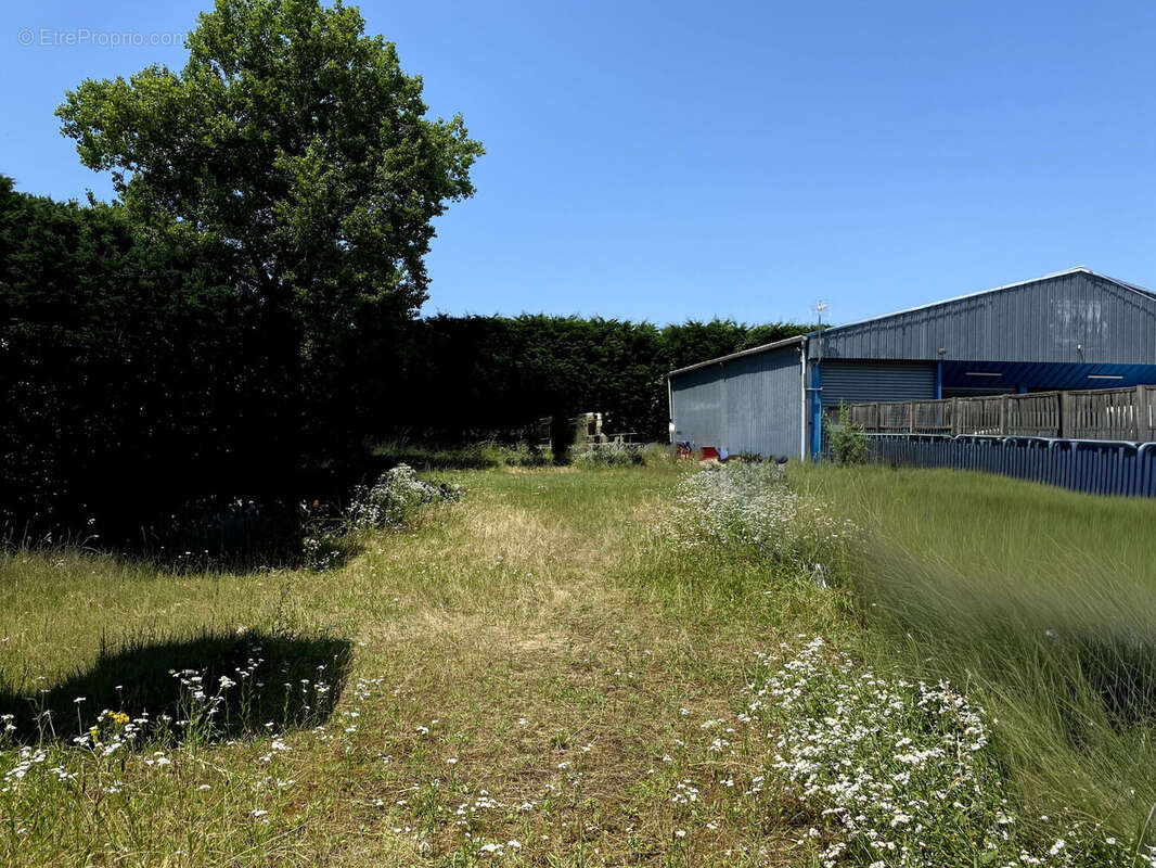 Photo 4 - Commerce à LONS