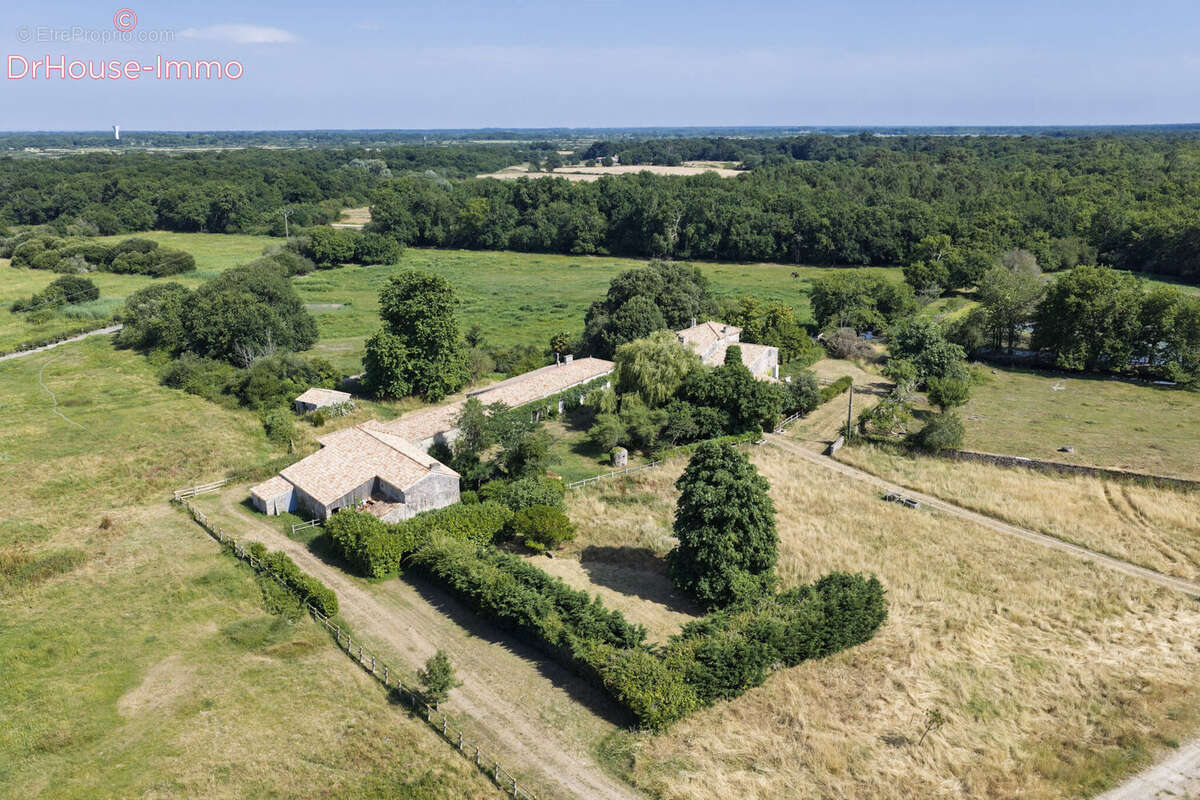 Maison 800 m² à Saint-Vivien-De-Medoc  - photo 17