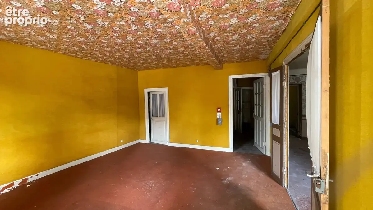 Immeuble / Maison de ville 240 m2 10 pièces POUILLY SUR LOIRE (58) proche NEVERS, La Charité-sur-Loire, Cosnes-Cours-sur-Loire - photo 10