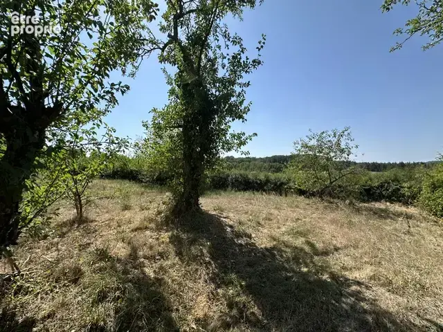 Chastellux sur Cure, Morvan - photo 47