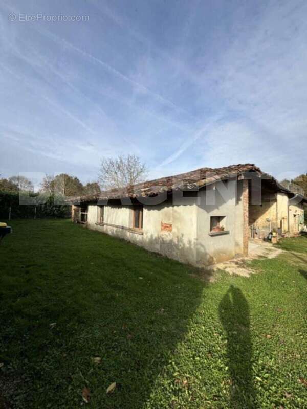 Messenger_creation_8C143D15-EBA9-4C21-BB39-2E33E9679264 - Maison à VILLEMUR-SUR-TARN