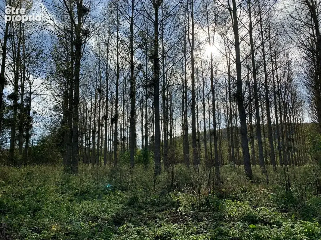 Terrain 88 923 m² à vendre à Tordouet (14290) - photo 7