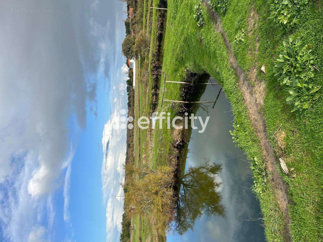 Terrain à L&#039;ILE-D&#039;OLONNE