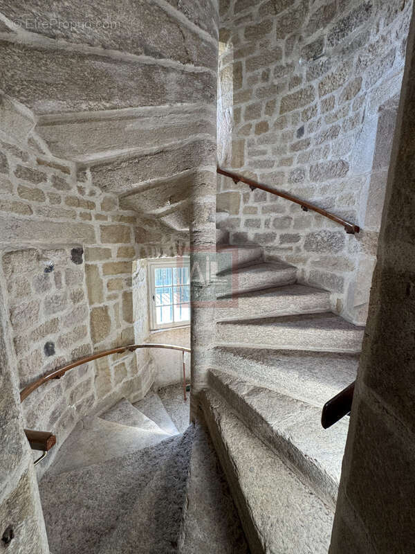 Propriété historique avec dépendances - photo 4