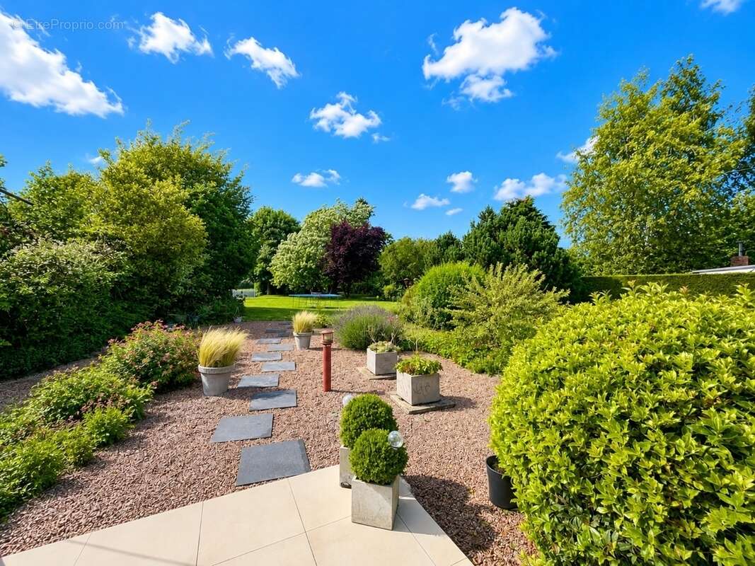 Maison 155 m² à Bapaume  - photo 2