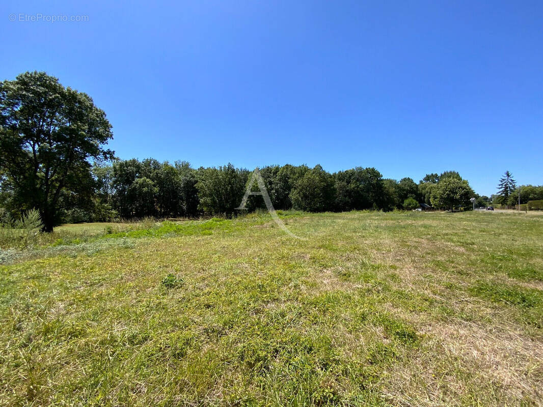 Terrain à SAINT-CIERS-DU-TAILLON