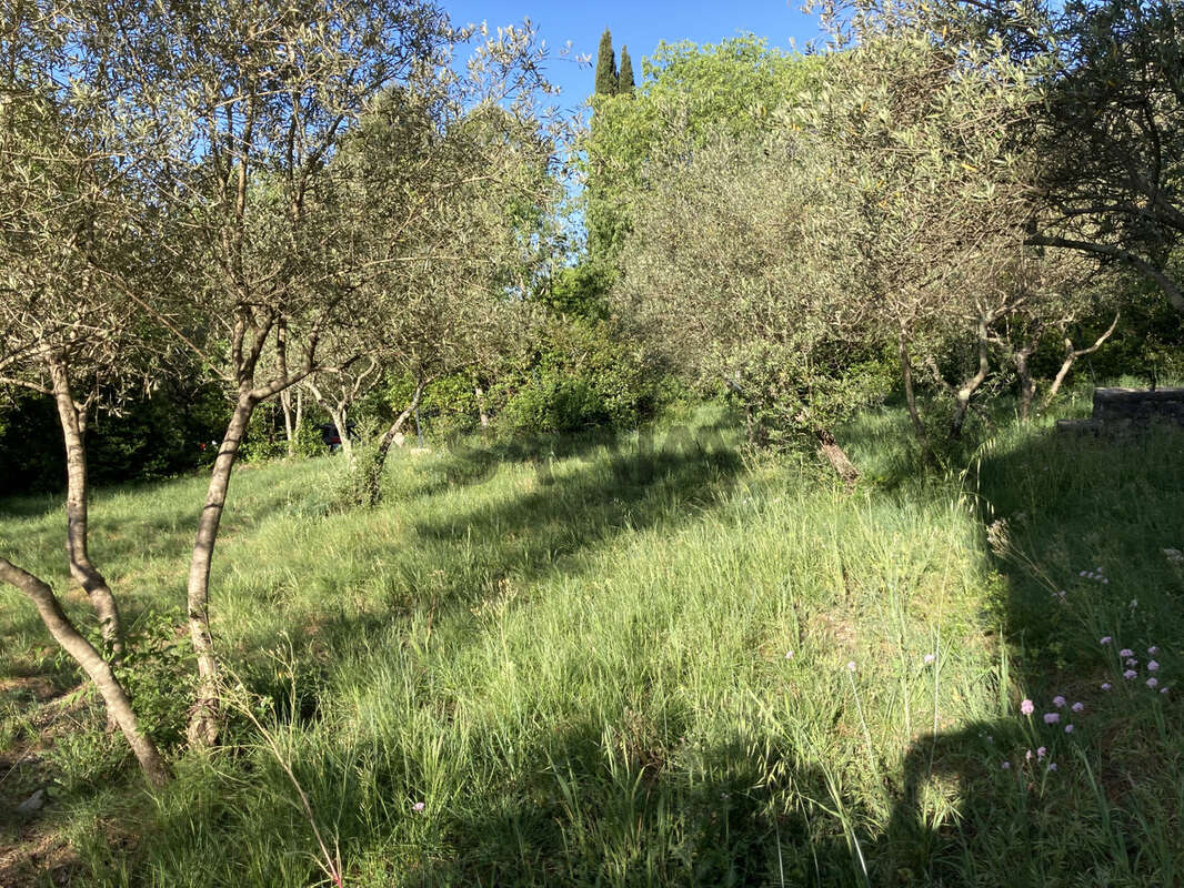 Terrain à SAINT-HIPPOLYTE-DU-FORT