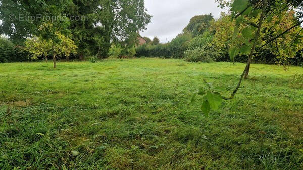 Terrain à FORMERIE