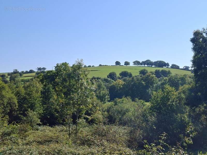 Maison à SAINT-LEONARD-DES-BOIS