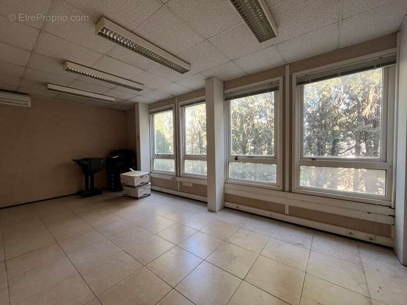 Commerce à LE CANNET