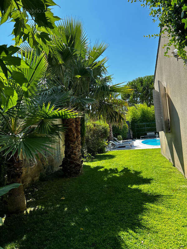 Maison à ENTRAIGUES-SUR-LA-SORGUE