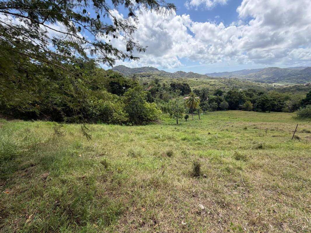 Terrain à LE VAUCLIN