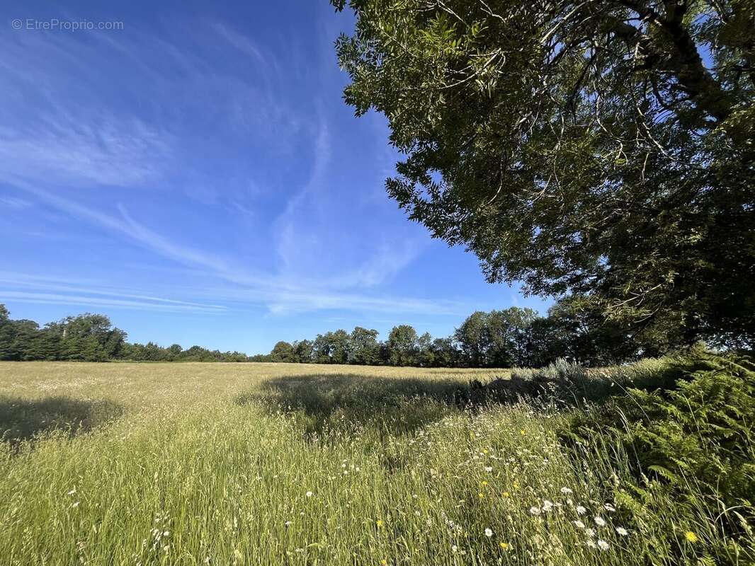 Terrain à MAURIAC