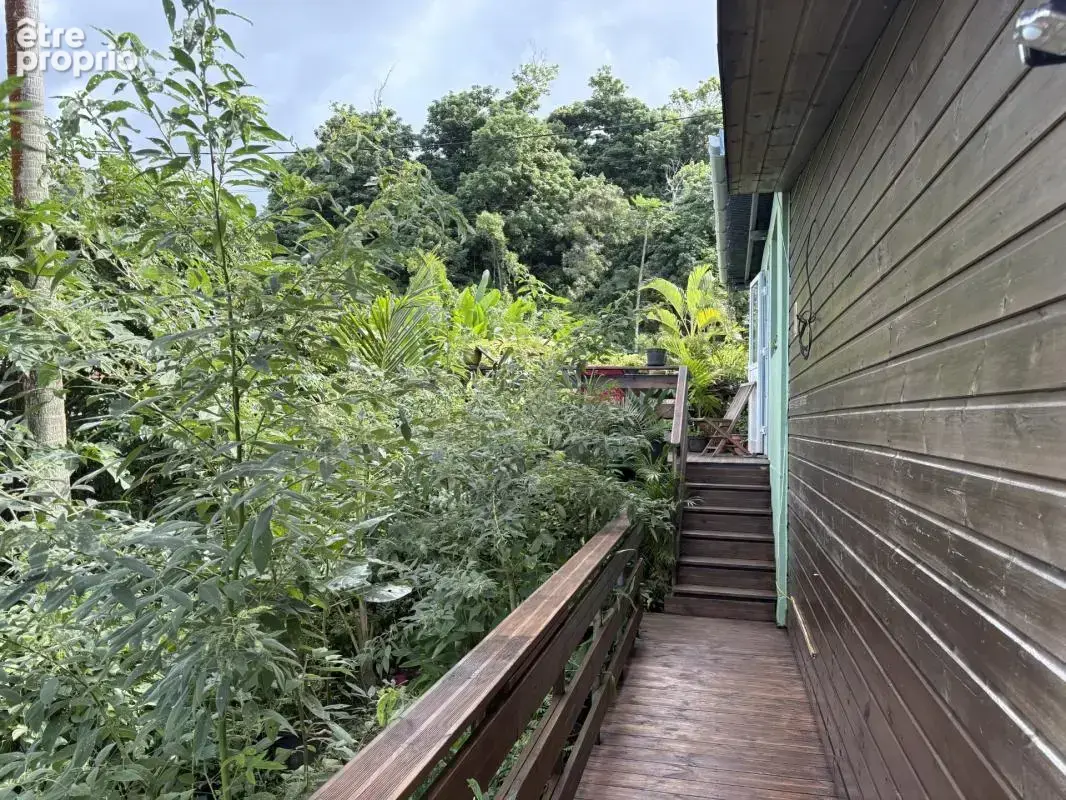 Maison d'exception avec vue Océan Indien – Idéal Résidence ou Projet Écotouristique / Gîte – Sainte-Rose (Secteur Anse des Casca - photo 12